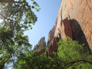 5 Unusual Things to Do in Zion National Park