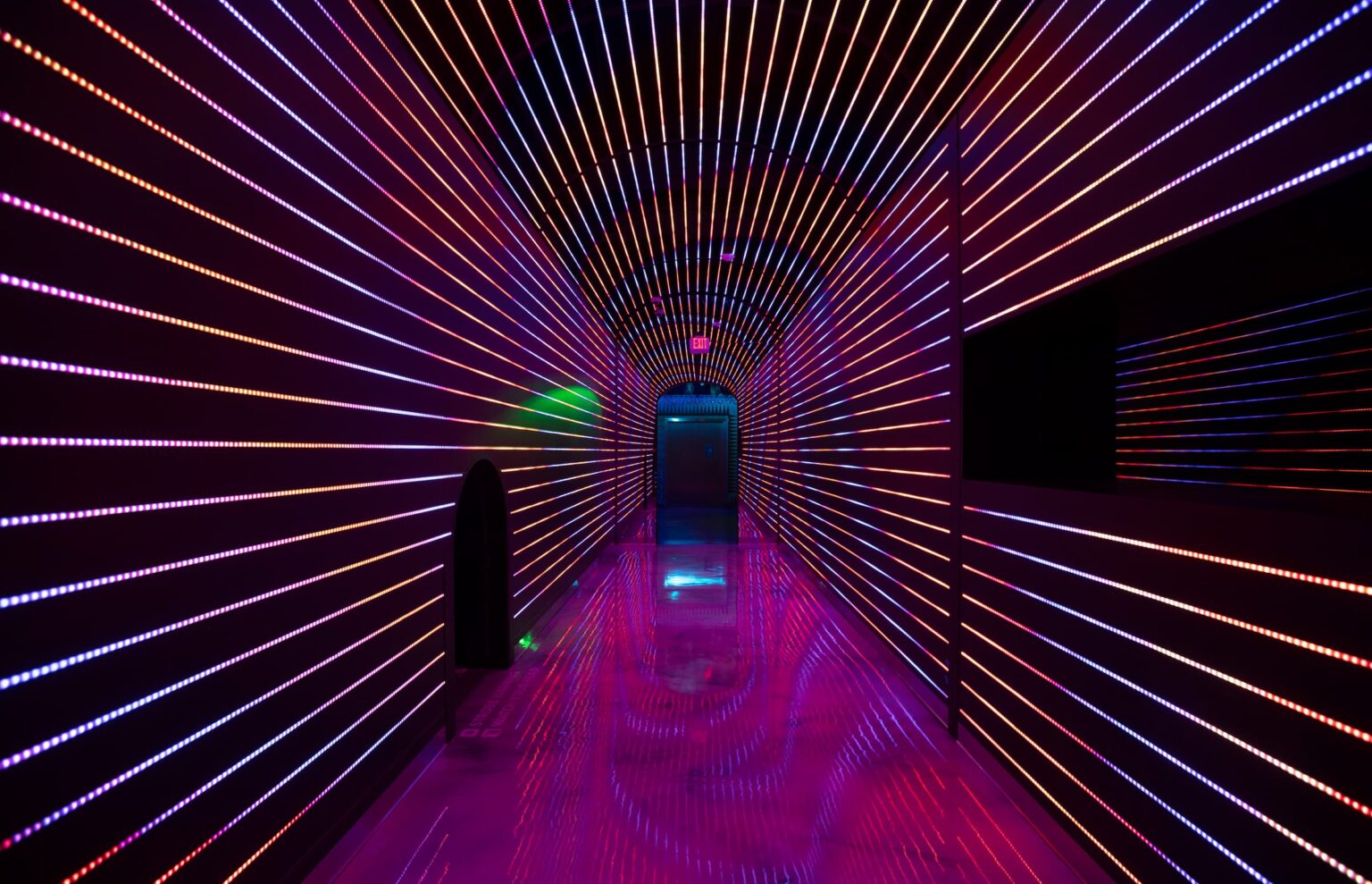 Tips for Visiting Meow Wolf as an Adult – Nomad Life. Full-Time Travel